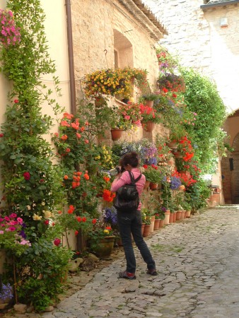 Spello - Giornata dei balconi fioriti